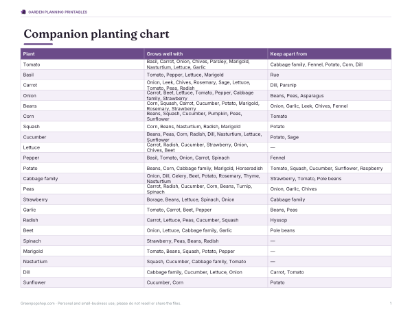 Preview of Printable Companion Planting Chart